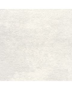 Mosa Terra Maestricht 200RL Vloertegel Rel.60X60cm K.Pors.Wit 12mm Mat Ret.R11